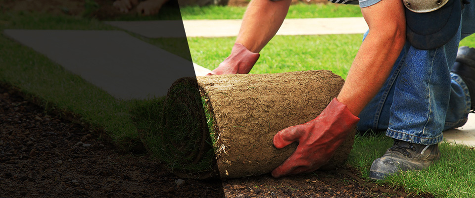Shubuta Landscapers